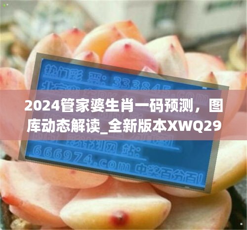 2024管家婆生肖一碼預測，圖庫動態(tài)解讀_全新版本XWQ290.47