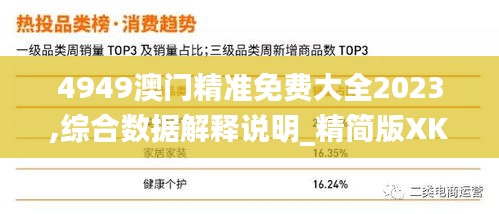 4949澳門精準(zhǔn)免費(fèi)大全2023,綜合數(shù)據(jù)解釋說明_精簡版XKI95.77