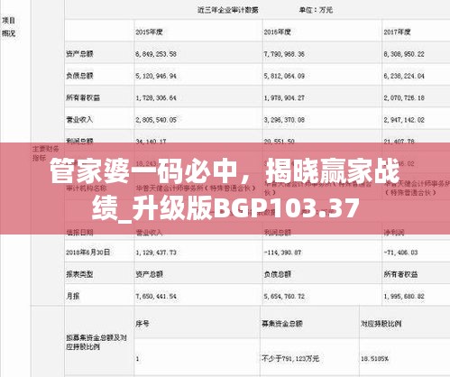 管家婆一碼必中，揭曉贏家戰(zhàn)績_升級版BGP103.37