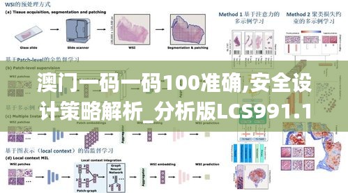 澳門一碼一碼100準確,安全設計策略解析_分析版LCS991.18