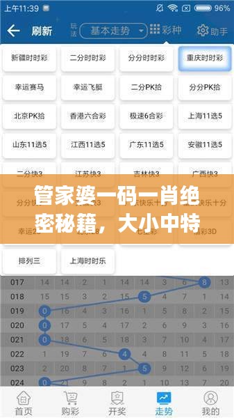 管家婆一碼一肖絕密秘籍，大小中特精準解析，JRW112.88編程版最新解讀