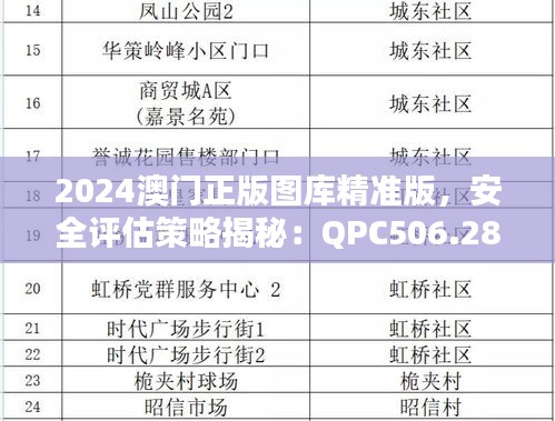 2024澳門正版圖庫精準版，安全評估策略揭秘：QPC506.28解密