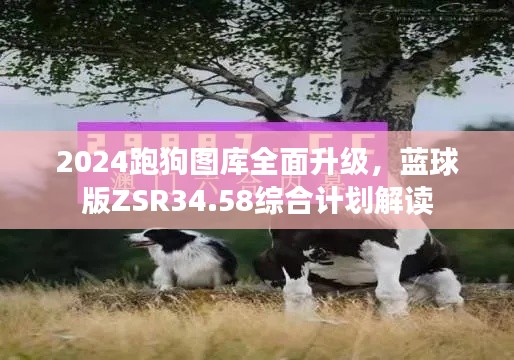 2024跑狗圖庫全面升級(jí)，藍(lán)球版ZSR34.58綜合計(jì)劃解讀