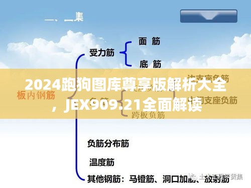 2024跑狗圖庫尊享版解析大全，JEX909.21全面解讀