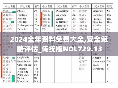 2024全年資料免費(fèi)大全,安全策略評(píng)估_傳統(tǒng)版NOL729.13