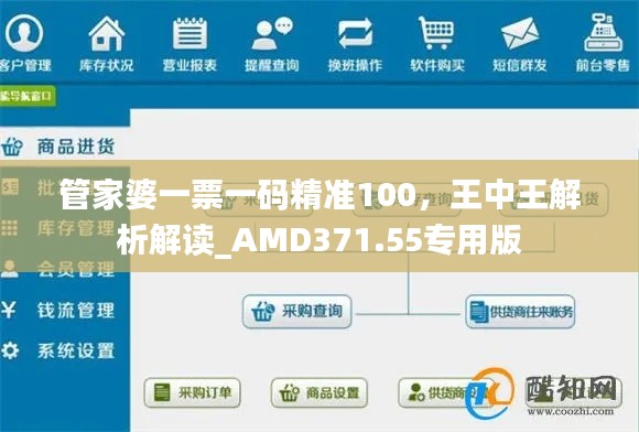 管家婆一票一碼精準100，王中王解析解讀_AMD371.55專用版