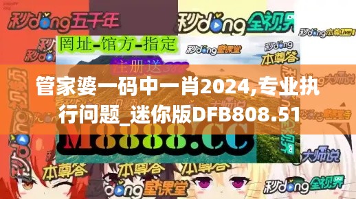 管家婆一碼中一肖2024,專業(yè)執(zhí)行問題_迷你版DFB808.51