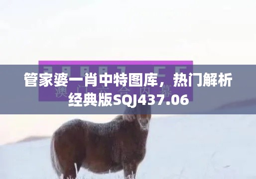 管家婆一肖中特圖庫，熱門解析經(jīng)典版SQJ437.06