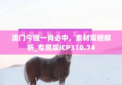 澳門今晚一肖必中，素材策略解析_專屬版ICP310.74