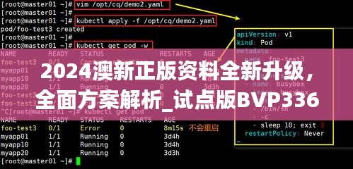 2024澳新正版資料全新升級，全面方案解析_試點版BVP336.32