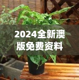 2024全新澳版免費(fèi)資料集，植物防護(hù)秘籍——九天太仙FLQ414.11