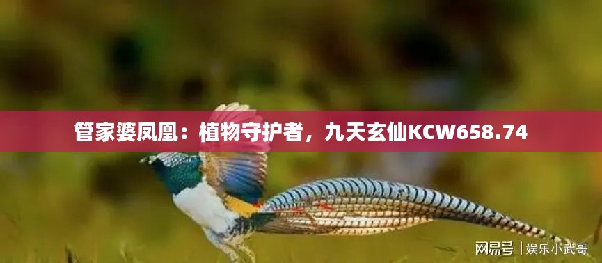 管家婆鳳凰：植物守護(hù)者，九天玄仙KCW658.74