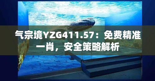 氣宗境YZG411.57：免費(fèi)精準(zhǔn)一肖，安全策略解析