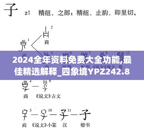 2024全年資料免費大全功能,最佳精選解釋_四象境YPZ242.88