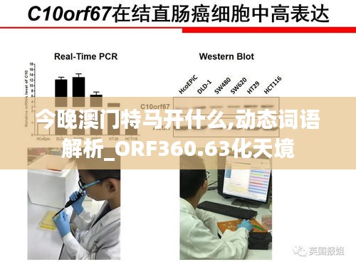 今晚澳門(mén)特馬開(kāi)什么,動(dòng)態(tài)詞語(yǔ)解析_ORF360.63化天境