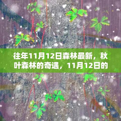 秋日森林奇遇，溫馨記憶中的最新秋葉森林