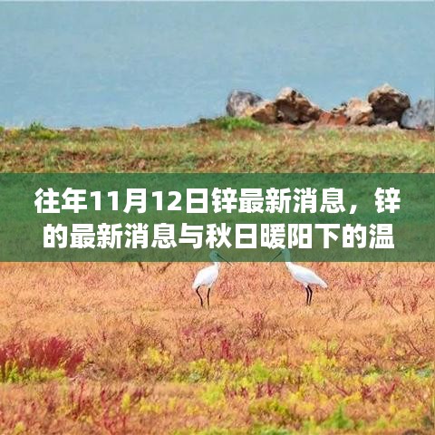 秋日暖陽下的鋅情，最新鋅消息與溫情故事回顧