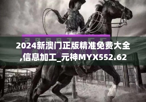 2024新澳門正版精準(zhǔn)免費大全,信息加工_元神MYX552.62