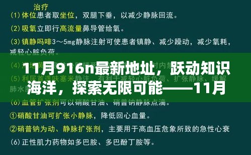 躍動知識海洋，探索無限可能，揭秘11月916n新地址魔法之旅，學習成就自信與成長