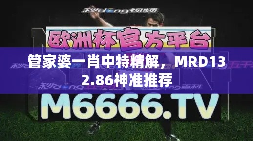 管家婆一肖中特精解，MRD132.86神準(zhǔn)推薦