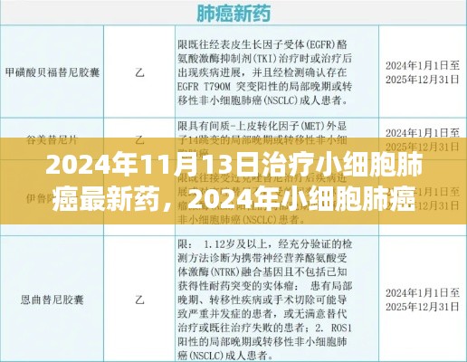 2024年小細(xì)胞肺癌治療新藥全面解析與用戶體驗，最新藥物評測及療效展望