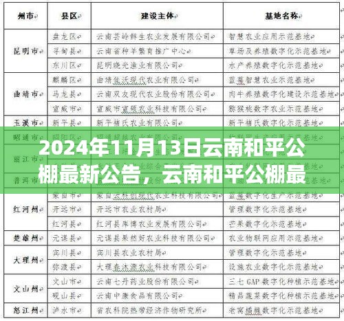 云南和平公棚最新公告發(fā)布，多元觀點探析與解讀