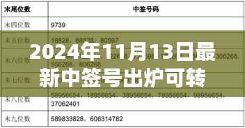 揭秘，2024年最新可轉(zhuǎn)債中簽號(hào)出爐背后的影響與時(shí)代地位分析