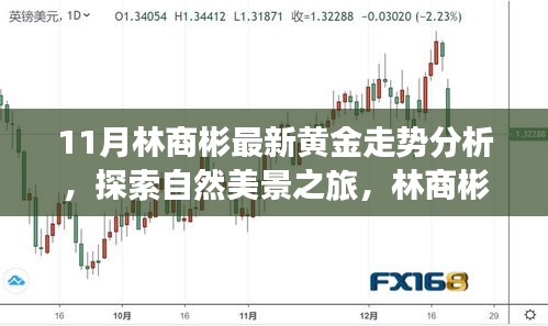 林商彬黃金走勢(shì)分析與自然美景探索，黃金與心靈的對(duì)話