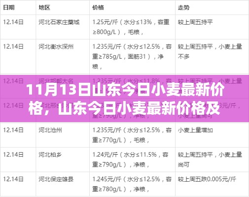 山東今日小麥最新價格及分析——11月13日特輯報道