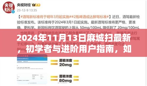 麻城掃最新技能指南，初學(xué)者與進階用戶如何掌握