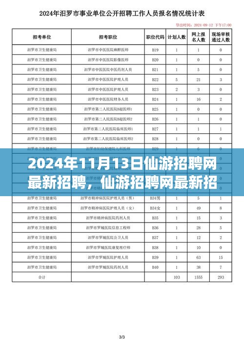 2024年11月13日仙游招聘網(wǎng)最新動(dòng)態(tài)，聚焦人才市場(chǎng)熱點(diǎn)