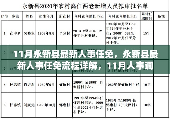 永新縣人事任免全解析，最新人事調(diào)整流程詳解與攻略