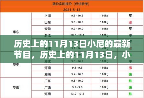 小尼最新節(jié)目深度解析，歷史上的十一月十三日