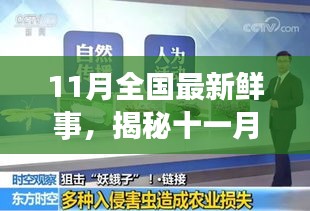 揭秘十一月全國新鮮事，熱點聚焦與科普解讀