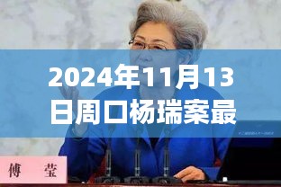 楊瑞案背后的故事，變化的力量與自信的重生最新進(jìn)展，周口楊瑞案深度剖析（2024年11月13日）