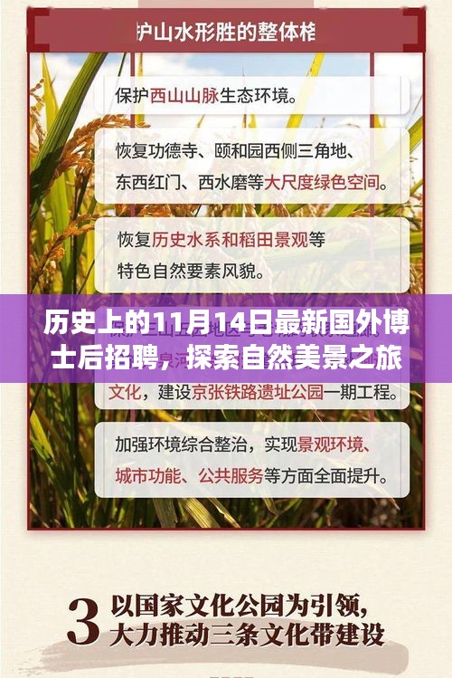 歷史上的11月14日，博士后招聘與探索自然美景之旅啟程啟幕，夢想與心靈平靜之旅開啟！