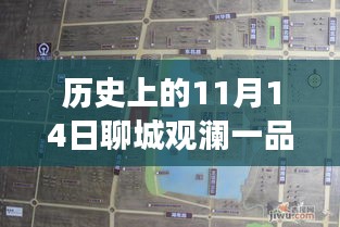 聊城觀瀾一品揭秘之旅，11月14日最新動態(tài)探秘隱藏小巷