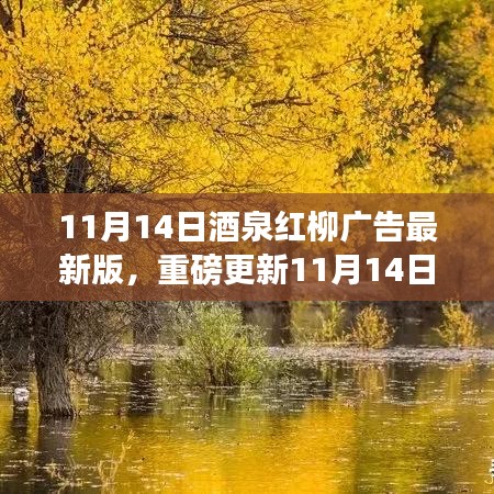 11月14日酒泉紅柳廣告最新版，重磅更新，精彩紛呈