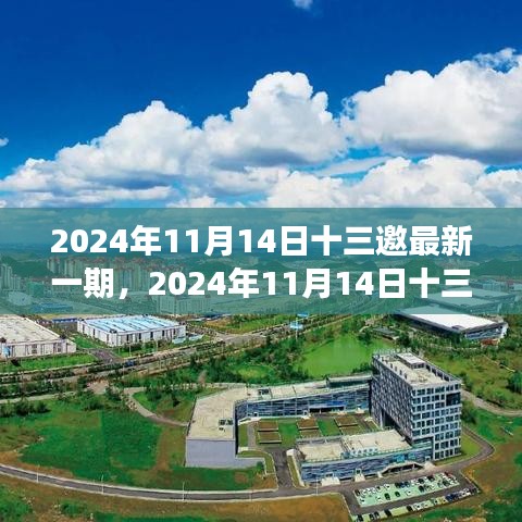 聚焦觀點之爭，深度解析2024年最新一期十三邀