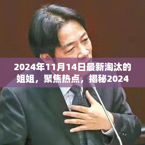 揭秘，2024年11月14日最新淘汰的姐姐背后的故事與熱點(diǎn)聚焦