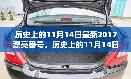 歷史上的11月14日最新2017漂亮番號，歷史上的11月14日，探尋那些閃耀的瞬間與美好記憶??