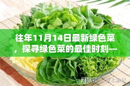 探尋綠色菜的最佳時(shí)刻，以往年11月14日為例的蔬菜盛宴