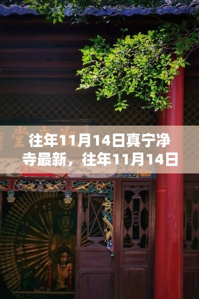 往年11月14日真寧凈寺探訪攻略，領(lǐng)略古寺魅力，最新指南全解析