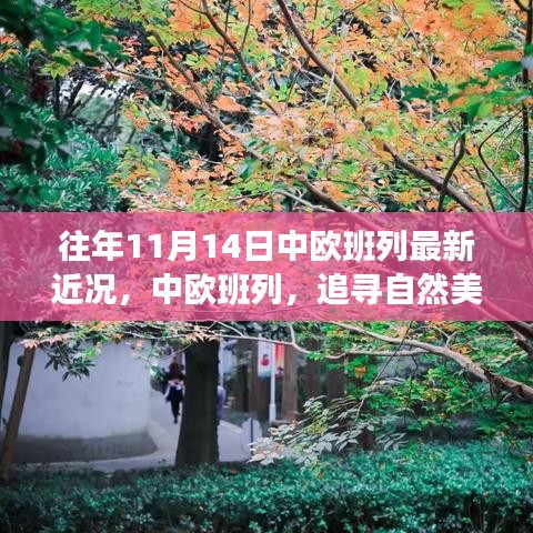 中歐班列秋日序曲，追尋自然美景與內(nèi)心寧靜之旅的最新近況