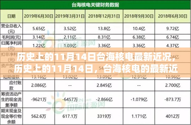 歷史上的11月14日，臺海核電的最新近況及其影響分析概覽