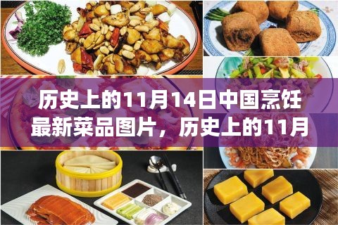 11月14日中國烹飪新菜品圖片展示，歷史菜品深度評測與介紹