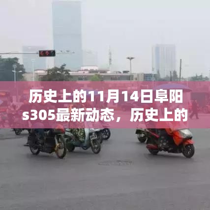 歷史上的11月14日阜陽S305最新動(dòng)態(tài)深度解析，聚焦三大要點(diǎn)揭秘最新進(jìn)展與動(dòng)態(tài)更新