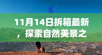 11月14日最新拆箱體驗(yàn)，自然美景之旅，尋找內(nèi)心的寧靜與喜悅