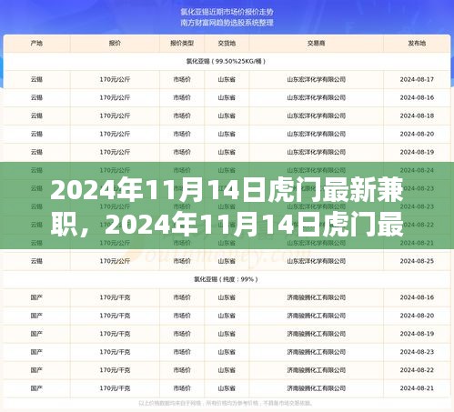 2024年11月14日虎門最新兼職，機遇與挑戰(zhàn)并存