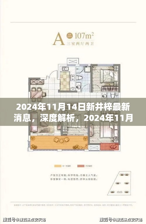 深度解析，2024年11月14日新井梓產品最新消息揭秘，特性、用戶體驗與目標用戶群體探討